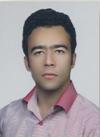 حامد قلی پور