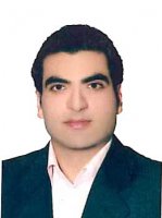 هادی میری